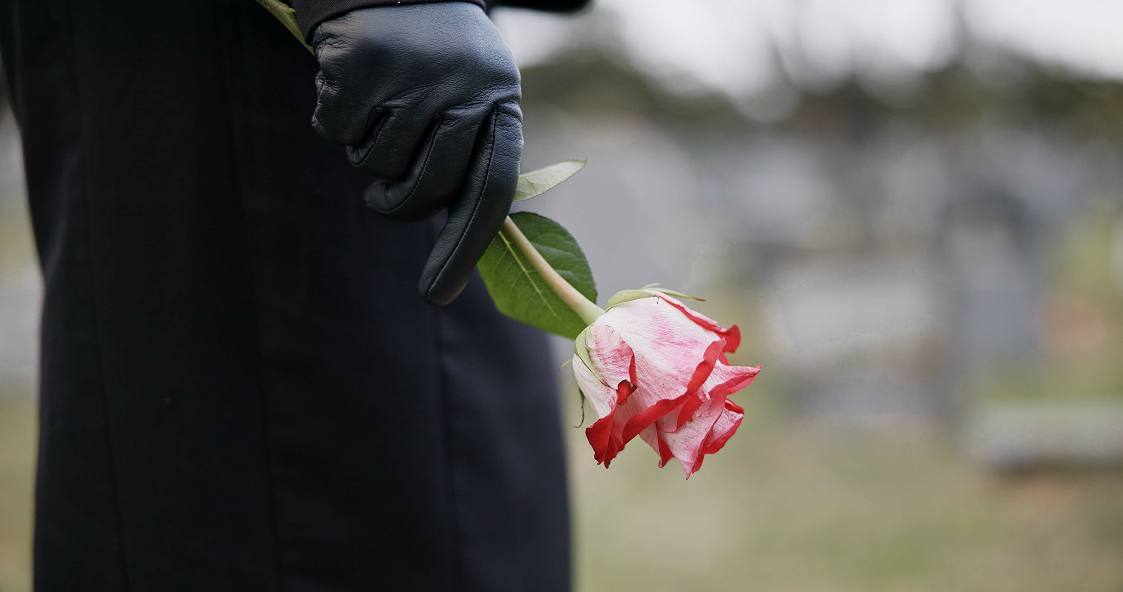 Rose tenue lors d'un hommage funéraire