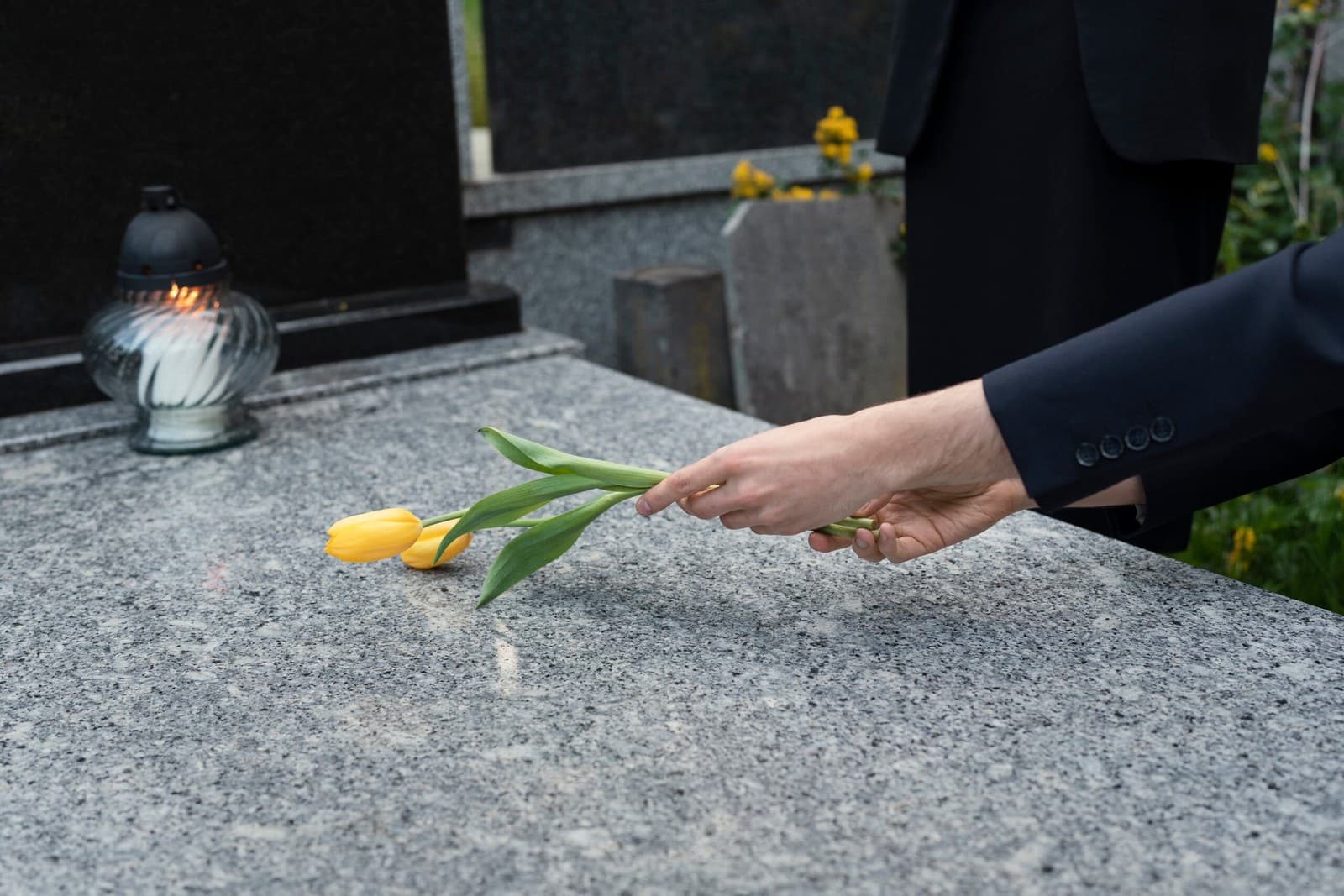 Tulipes jaunes déposées sur une sépulture en signe d’hommage